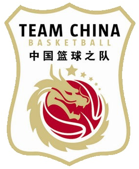 China 0-Pres Alternate Logo iron on transfers for clothing